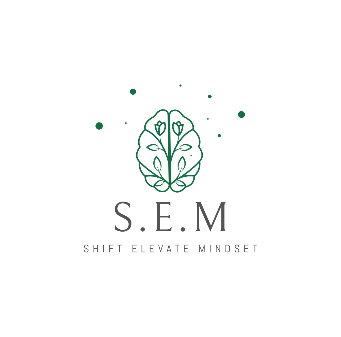 Shift Elevate Mindset